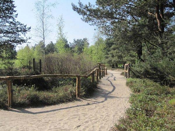 Wandern Rombergpark